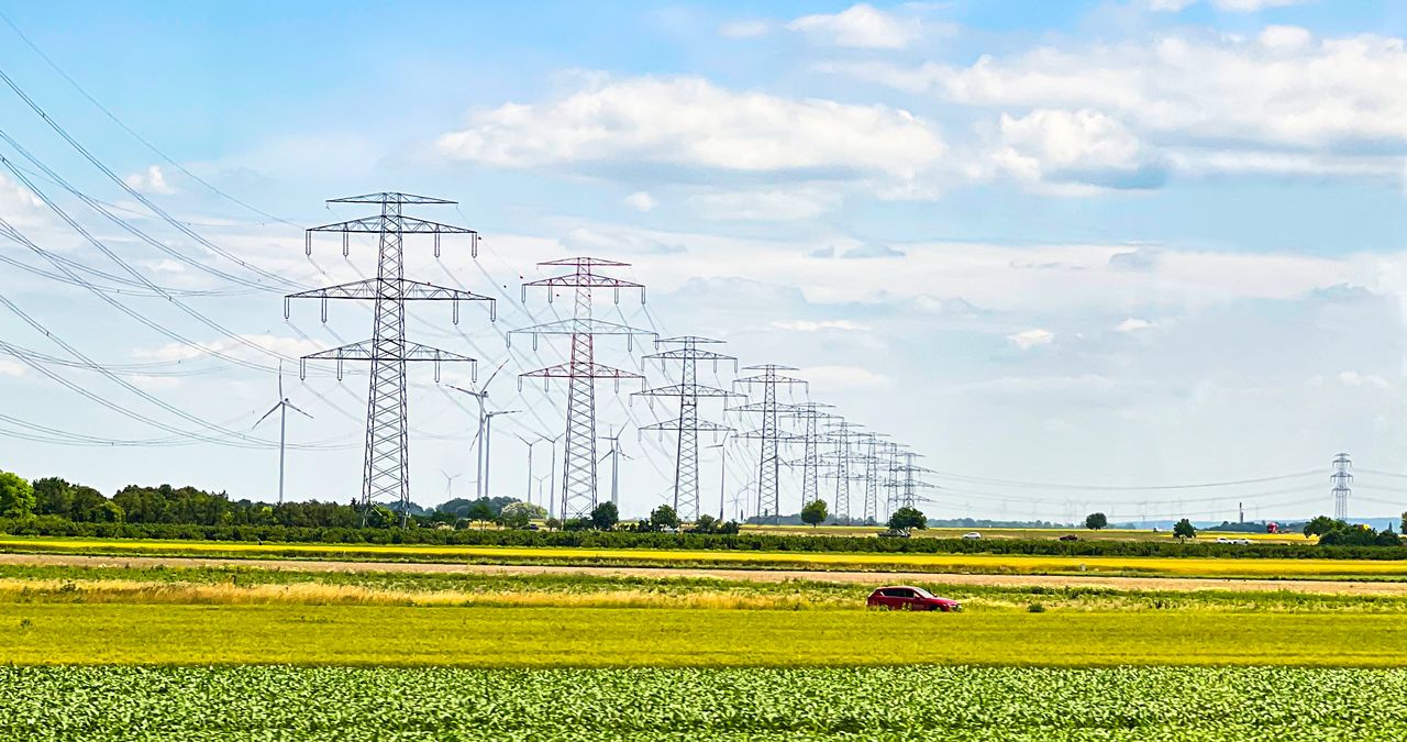 Baromètres & tendances
